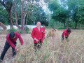 กิจกรรมเกี่ยวข้าว โครงการชีววิถีเพื่อการพัฒนาอย่างยั่งยืน ปร ... Image 1